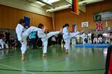 German_Open _Giebelstadt_2014_38.jpg